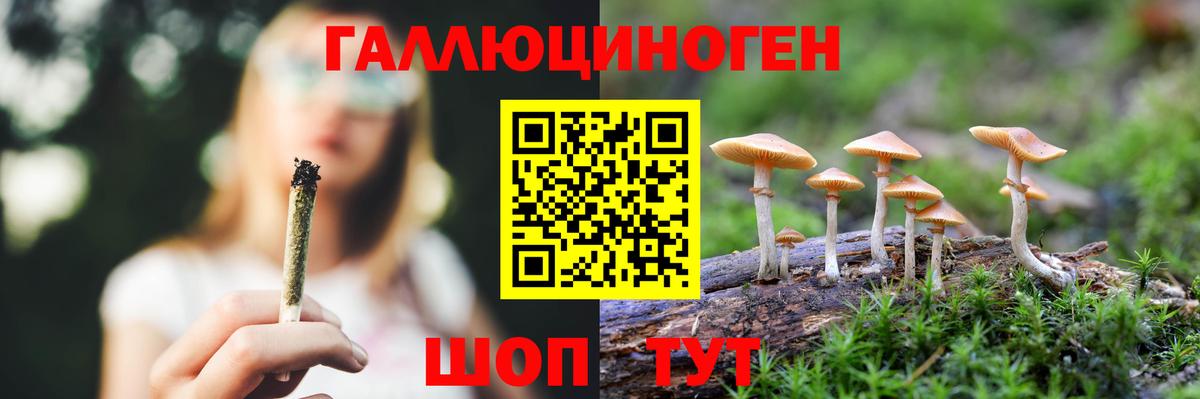 Псилоцибиновые грибы Psilocybe Ишим